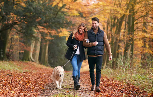 “Autumn Wellness: Embrace the Season with CBD"