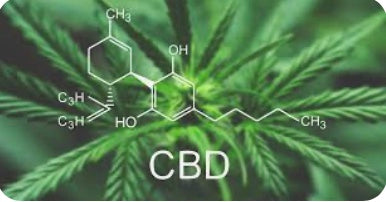 Why Choose CBD?