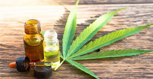 CBD and Bioavailability: How to Get the Most Out of Your CBD Products